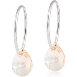 Blomdahl Natural Titanium  14 mm Drop Golden Shadow