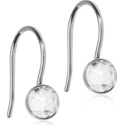 Blomdahl Örhänge Pendant Bezel Crystal 5 mm