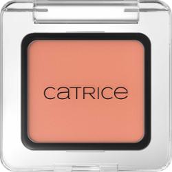 Catrice Art Couleurs cienie do powiek odcień 480 Apricot Touch 2 g