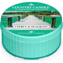 Country Candle Citrus & Seagrass Daylight Citrus & Seagrass - świeca z