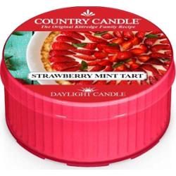 Country Candle Daylight Strawberry Mint Tart - świeca zapachowa 42 g