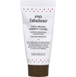 Evo Fabuloso Colour Depositing Conditioner Cool Brown