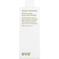 Evo Style Mister Fantastic Blowout Spray 200ml - Spray do stylizacji 2
