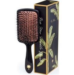 Fan Palm Large Paddle Brush Big Star