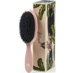 Fan Palm Medium Blush Brush