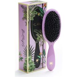 Fan Palm Medium Butterfly Brush