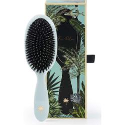 Fan Palm Medium Maldives Brush