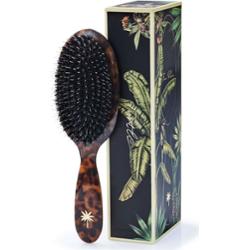 Fan Palm Medium Turtle brush