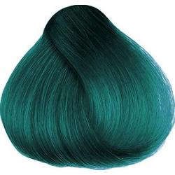 Herman´s Amazing Hair color Tammy Turqoise