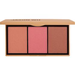 JASON WU BEAUTY 3 Color Blush Palette Palette Sexed