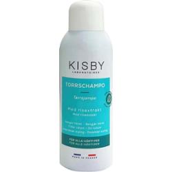 Kisby Laboratoires Dry Shampoo Spray 150 ml