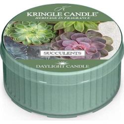 Kringle Candle Daylight Succulents - świeczka zapachowa 42 g