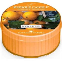 Kringle Candle Iced Citrus Daylight - świeczka zapachowa 12 szt.