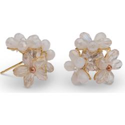 Lily and Rose Eugenie earrings Ivory