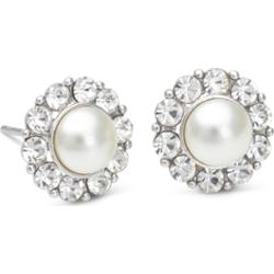 Lily and Rose New Miss Sofia Pearl Earrings Créme