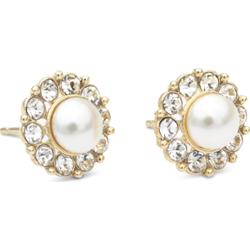 Lily and Rose New Miss Sofia Pearl Earrings Ivory