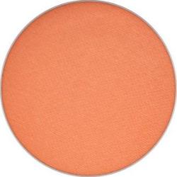 MAC Cosmetics Cień Matte Eye Shadow Pro Palette Refill Rule