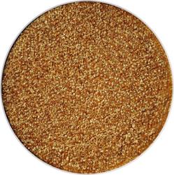 MAC Cosmetics Eye Shadow Pro Palette Refill Pan Glitter I Like 2 Watch