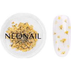 NEONAIL Dried Flowers suszone kwiaty do paznokci odcień 07 Yellow 1 szt.