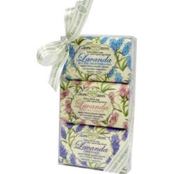 Nesti Dante Lavanda Gift Kit 450 g