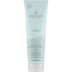 Paul Mitchell Awapuhi Wild Ginger Cream Rinse 250 ml