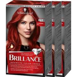 Schwarzkopf Brillance 842 Cashmere Red 3-pack