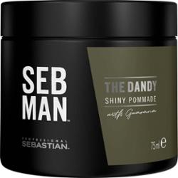 SEB MAN   The Dandy Shiny Pommade 75 ml
