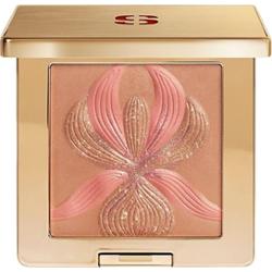 Sisley Palette l'Orchidée 1 Bronze