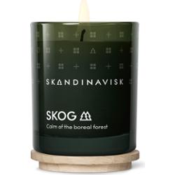 Skandinavisk SKOG Home Collection Scented Candle 65 g