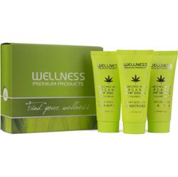 Wellness Premium Products Intensive Mini Set (Shampoo 50 ml, Condition