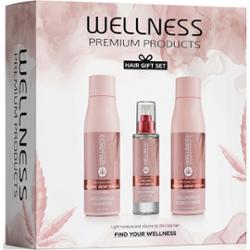 Wellness Premium Products VolumePLEX Set (Shampoo 500 ml, Conditioner
