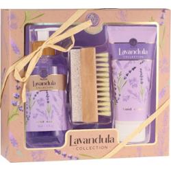 Aurora Lavandula Zestaw Prezentowy Kosmetyków Dla Kobiet Do Rąk + Szczotka