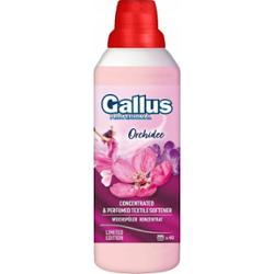 GALLUS Perfumowany Skoncentrowany Płyn Do Płukania Tkanin Orchidea 1l