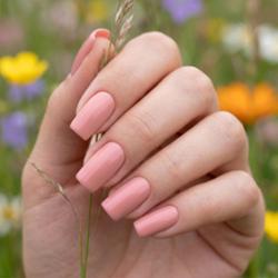 Lakier hybrydowy Kabos Gelike 058 Carnations Pink 8 ml