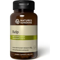 Kelp (100 kaps.) - algi morskie