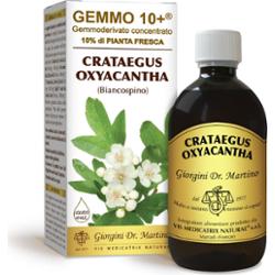 Dr Giorgini gemmo 10+ głóg 500 ml płynu bezalkoholowego