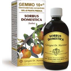Dr Giorgini gemmo 10+ jarzębiny 500 ml płynu bezalkoholowego