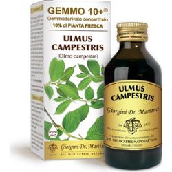 Dr Giorgini gemmo Wiąz wiejski 10+ 100 ml płyn bezalkoholowy