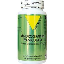 Vit'All+ Andrographis Paniculate 400 mg 60 tabletek