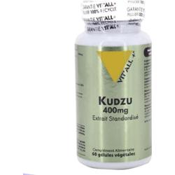 Vit'All+ KUDZU 400mg Ekstrakt standaryzowany x60 kapsułek
