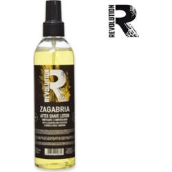 Revolution woda po goleniu om 250 ml zagrzeb