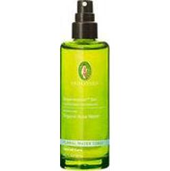 Primavera Kwiat Pink Woda Bio 100 ml