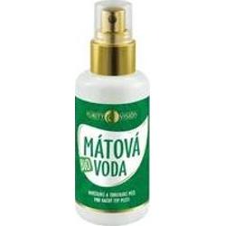 Purity vision Ekologiczna woda miętowa - 250 ml