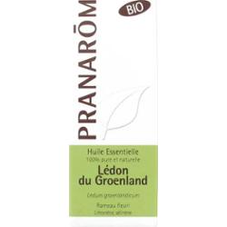 Olejki eteryczne Pranarôm Organiczny olejek eteryczny Ledon 5ml