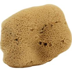 Cose della natura Gąbka Fine Sponge Lady Washed Large 12-14 g