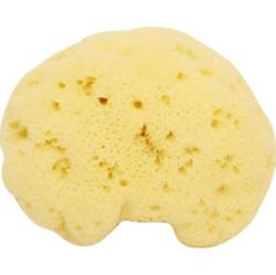 Cose della natura Gąbka Naturale Fine Whitened Lady 6-8 g (6 g)