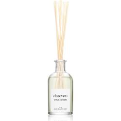 Ambientair Dyfuzor zapachowy Olphactory Citrus & Shades Forever 100 ml