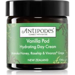 Vanilla Pod (nawilżający krem na dzień) - Pojemność: 60 ml
