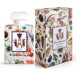 Carthusia A Mmare Eau de Parfum 50ml Bergamotka Rozmaryn Cedr