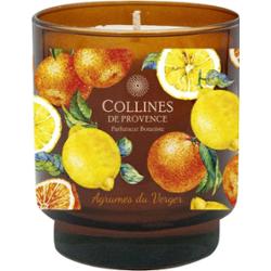 Collines de Provence - Świeca zapachowa - Owoce cytrusowe sadu 220g
